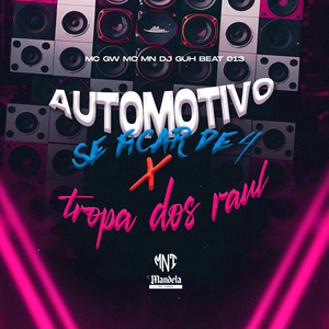 Automotivo Se Ficar de 4 X Tropa dos Raul