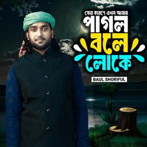 পাগল বলে লোকে