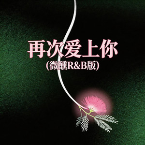 再次爱上你