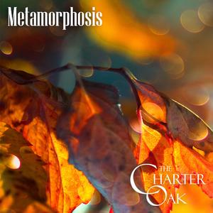 Metamorphosis