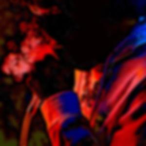 The Council of the Nocturnal