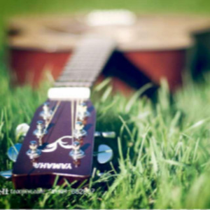 我爱上了寂寞（翻自 钟威）