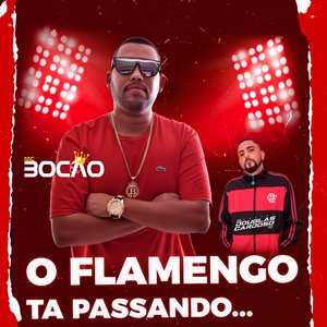 O Flamengo Ta Passando