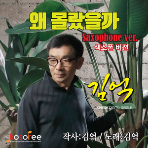 왜 몰랐을까 (Saxophone Ver.)