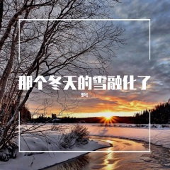 那个冬天的雪融化了