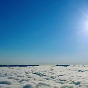 父亲写的散文诗