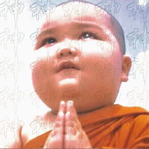 兄弟我怎么在飞啊