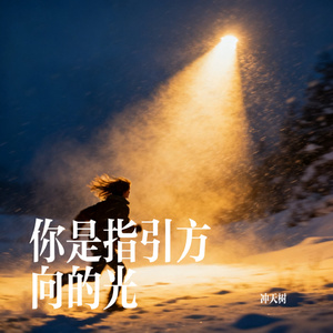 你是指引方向的光