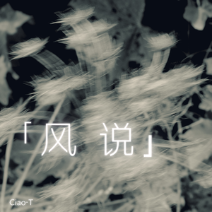 风说（可生活并不像电影）