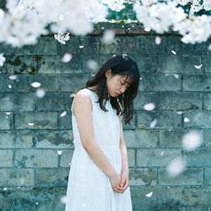 那天我经过一片花园 可是你不在