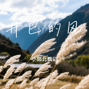 丹巴的风