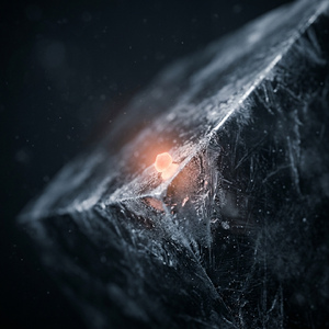 零点三克的余温