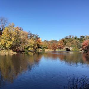 小荷（女声版）