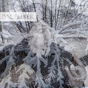 December