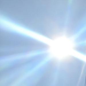 Verblendet (nie wieder)