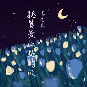 就算是山野的风（DJ版）