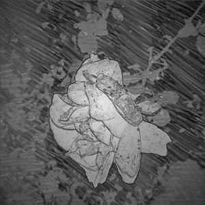 退一万步讲（Demo）