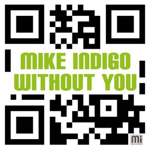 Mike Indigo - Without You ((Instrumental))