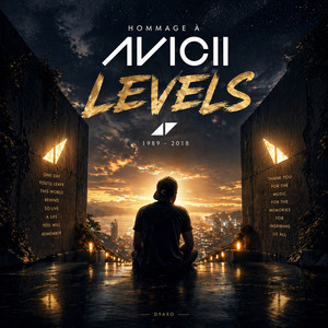 Levels (Vocal Tribute)
