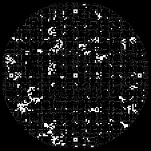 Dark Hole