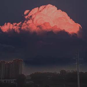 无用清净梦