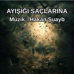 Ayışığı Saçlarına - Enstrümantal
