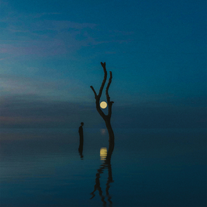 Shades of You (feat. Henry Green) (Tim Engelhardt Remix)