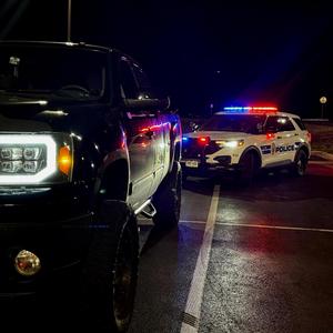 My Dog My Truck And Me