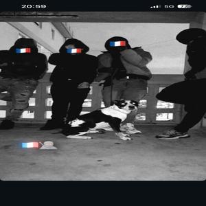 Welcome to france - TDK Blade & K1llah