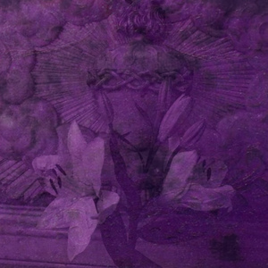 De Lirio
