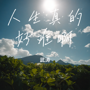 人生真的好难啊