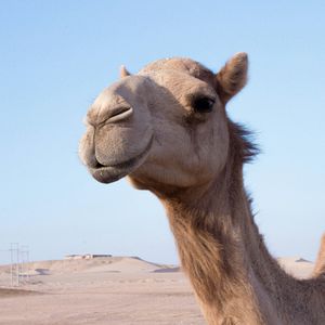 十二月十三日-intro