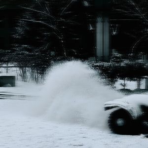 the christmas they lived