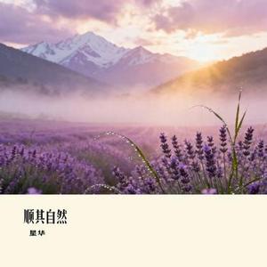 娱乐人生 (星华 Remix)