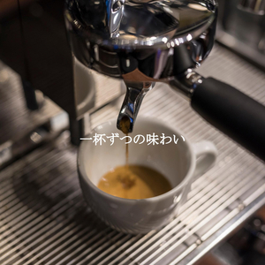 Bossa Guitars Soundtrack for Best Fortunes