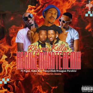 Ha Gole Monate (feat. Figos, Naisi Boi, Flexyville & Rraagwe Perekise) (Martin Beats Remix)