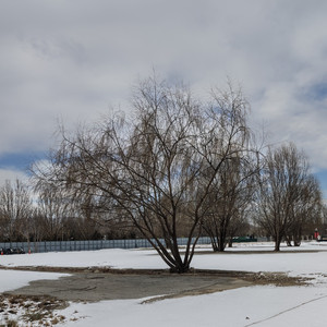 我捧山海赴你身边