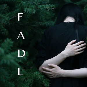 Fade（褪色）