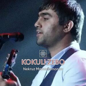 Kokuli Zebo