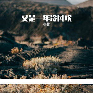 又是一年冷风吹