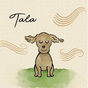 Tala