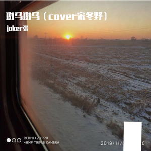 斑马斑马（cover宋冬野）（翻自 宋冬野）