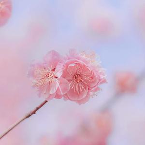 Everytime（翻自 CHEN）