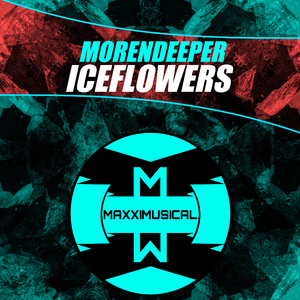 Iceflowers (Original Mix)