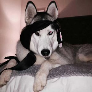 P.I.M.P (Original Remix)