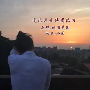 爱已远走伤痛依旧DJ