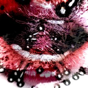 dire (feat. funeral)