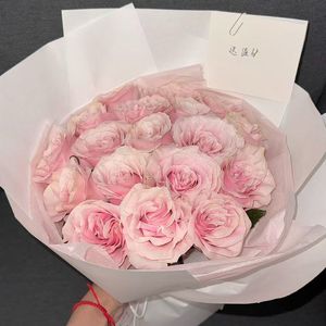 匿名的花在八月盛开