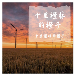 盗将行-十里林橙子1