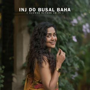 Inj Do Busal Baha (Slowed Reverb Lo-fi)